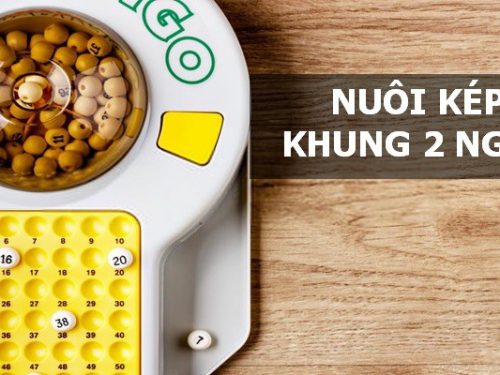 Lô Kép nuôi khung 2 ngày: Bí kíp đầu tư sinh lời năm 2024